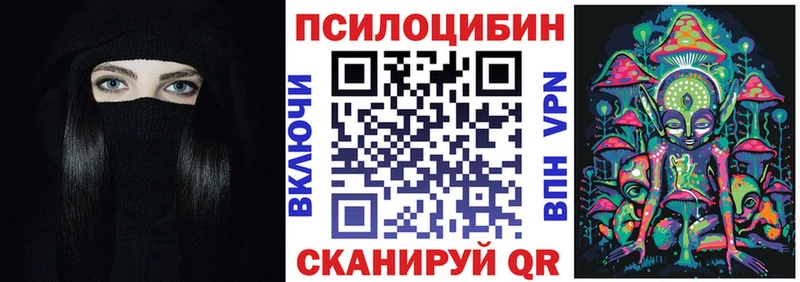 Галлюциногенные грибы Psilocybe  Купить закладки  Палласовка 